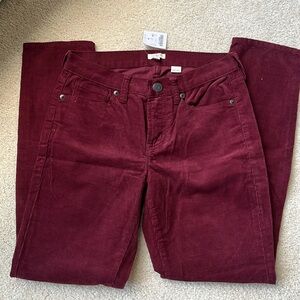 NWT JCrew Corduroy Pants 25